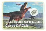 Campo del Cielo Iron Meteorite with Case - Argentina - Photo 3